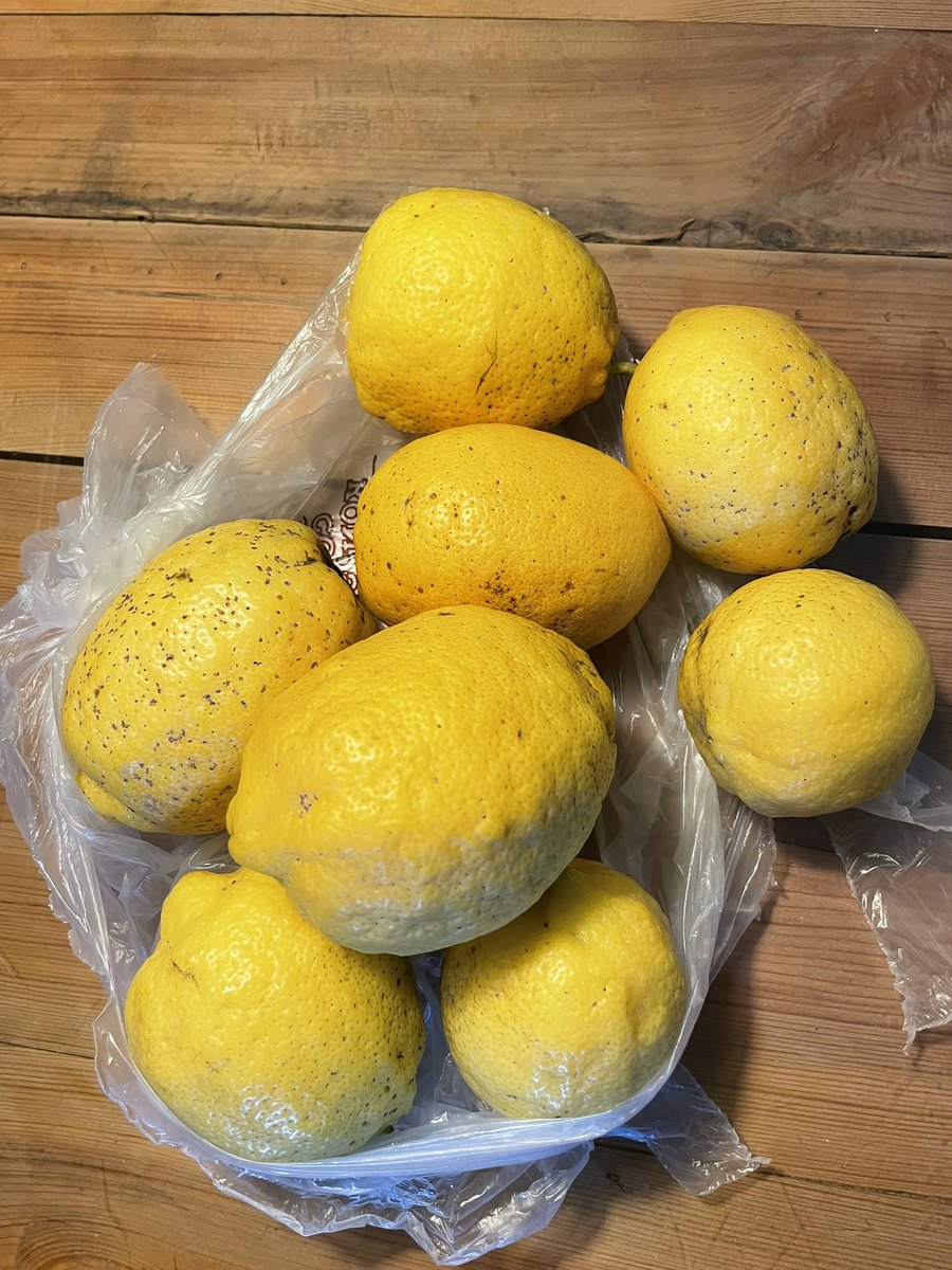 Terminan las clases en <a href="/pablodeolavide/">Pablo de Olavide</a>! Ha sido un placer impartir este curso de 3º #FYCO <a href="/UPOempresa/">Fac_Empresa_UPO</a>. Al final de mi última #EPD la delegada, me regala unos limones 🍋 y me dice: “Son para usted, profesor, de mi campo”. Me ha emocionado🥹Mil gracias Lourdes❤️