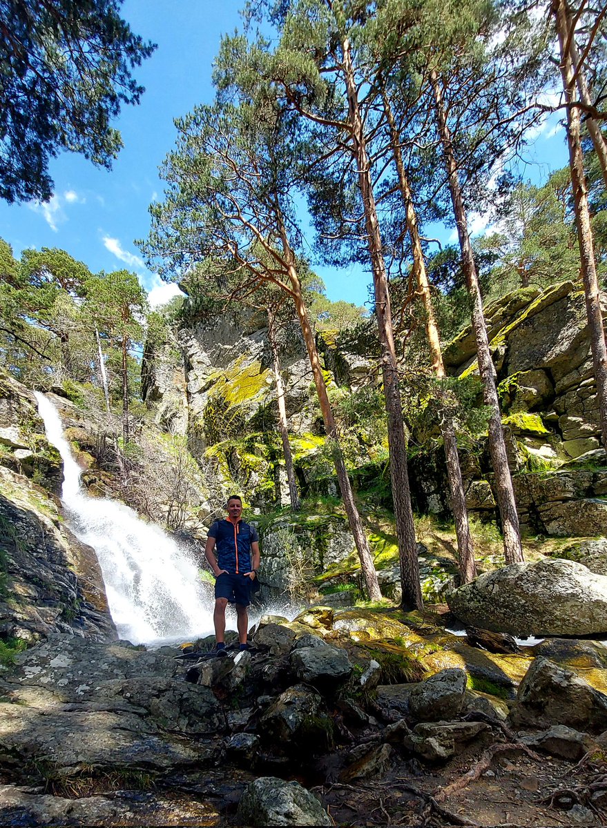 Alejandro DG tweet media