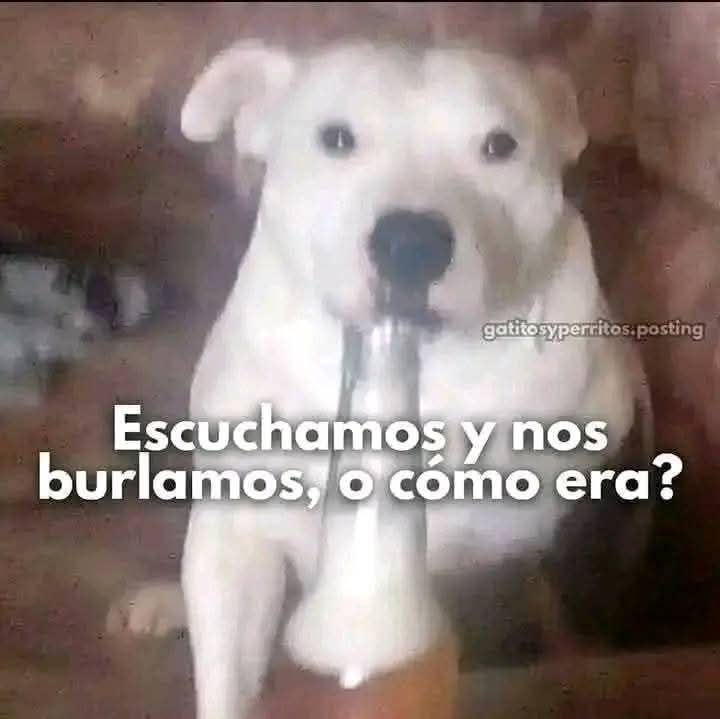 SpankyyLopez's tweet photo. @Mariana01863171 @QuePocaMadre_Mx https://t.co/rLz8y1NQaz