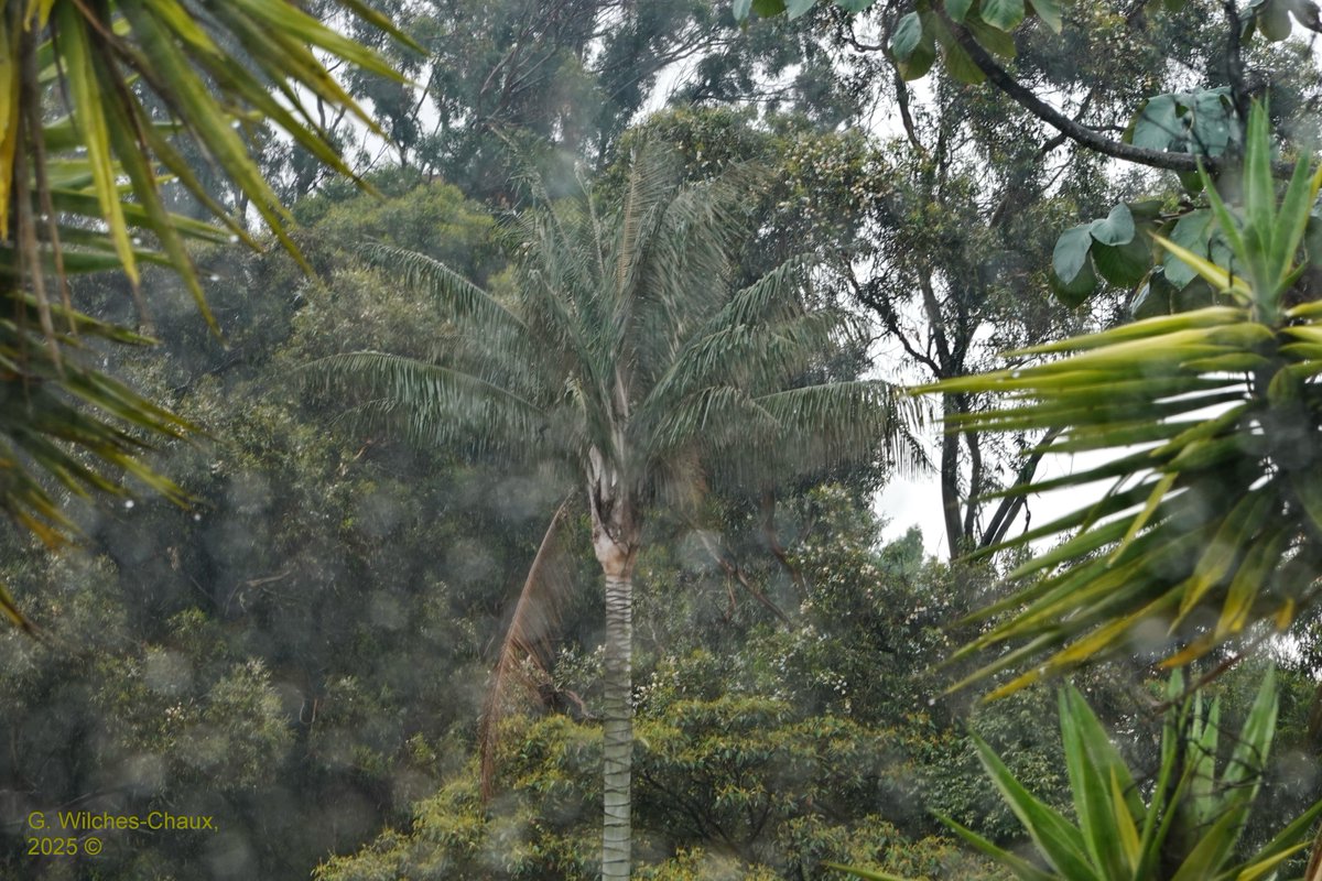 Informe del tiempo (Bogotá 3:00 pm - 17/05/2025)
youtube.com/watch?v=tFa_gg…
@Ideam <a href="/HenriquezMax/">Max Henriquez Daza</a> <a href="/ChristianEuska/">Christian Euscátegui</a>