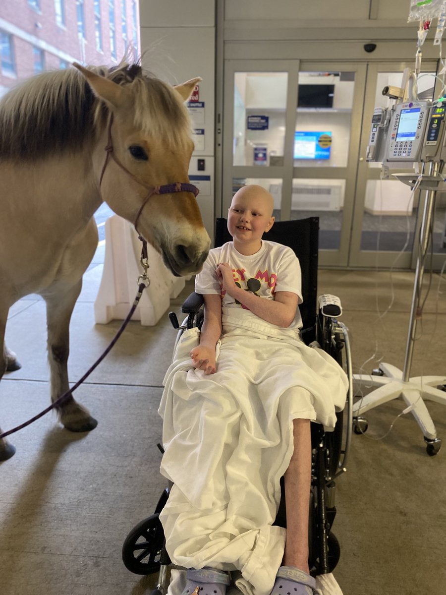 Lisa @ Jimmy Fund Clinic tweet media