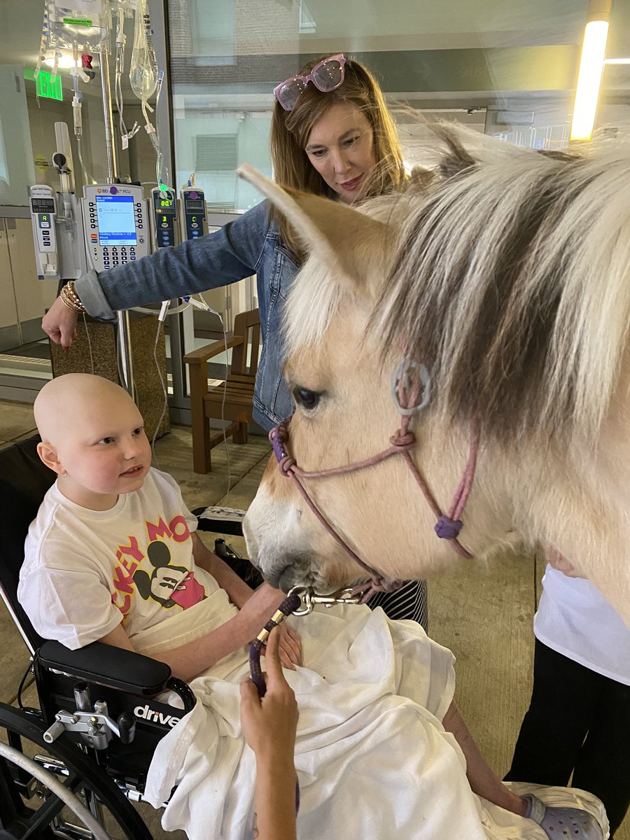 Lisa @ Jimmy Fund Clinic tweet media