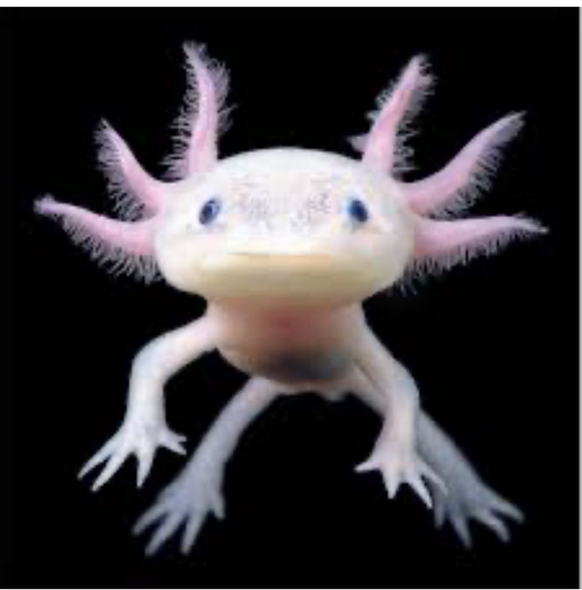 Latvia  #BBCEurovision