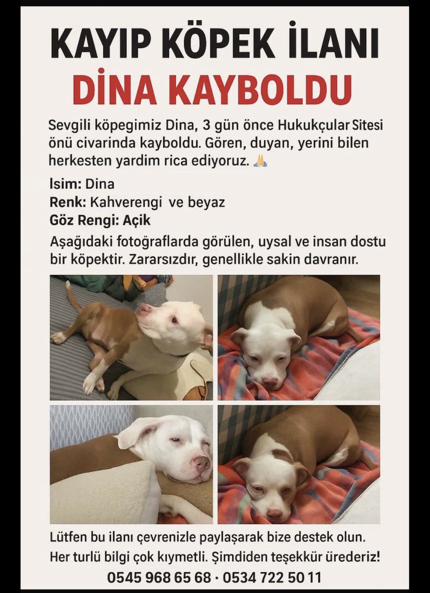 figenaltnts (@figenaltnts) on Twitter photo <a href="/VuraMeli/">Nevzat Dalan</a> <a href="/patiarkadas/">Pati Arkadaş</a> <a href="/jale0808/">Jale İYEM İnş. Yük. Müh. SOÇED DERNEĞİ GN BŞK</a> Nolur bu çocuğuda paylaşsak ailesi perişan😔 <a href="/VuraMeli/">Nevzat Dalan</a> <a href="/patiarkadas/">Pati Arkadaş</a> <a href="/jale0808/">Jale İYEM İnş. Yük. Müh. SOÇED DERNEĞİ GN BŞK</a> Nolur bu çocuğuda paylaşsak ailesi perişan😔