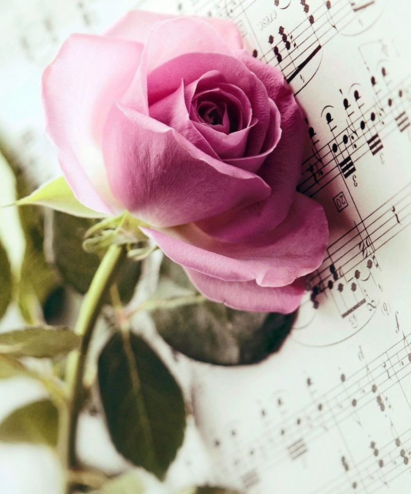 "إن كانَ حُبُّكِ وَهمًا أَو مُصادفةٌ 
فأَجْمَلَ الحُبُ، مَا تَأتِي بِهِ الصُدَفُ"

#كلام_من_القلب