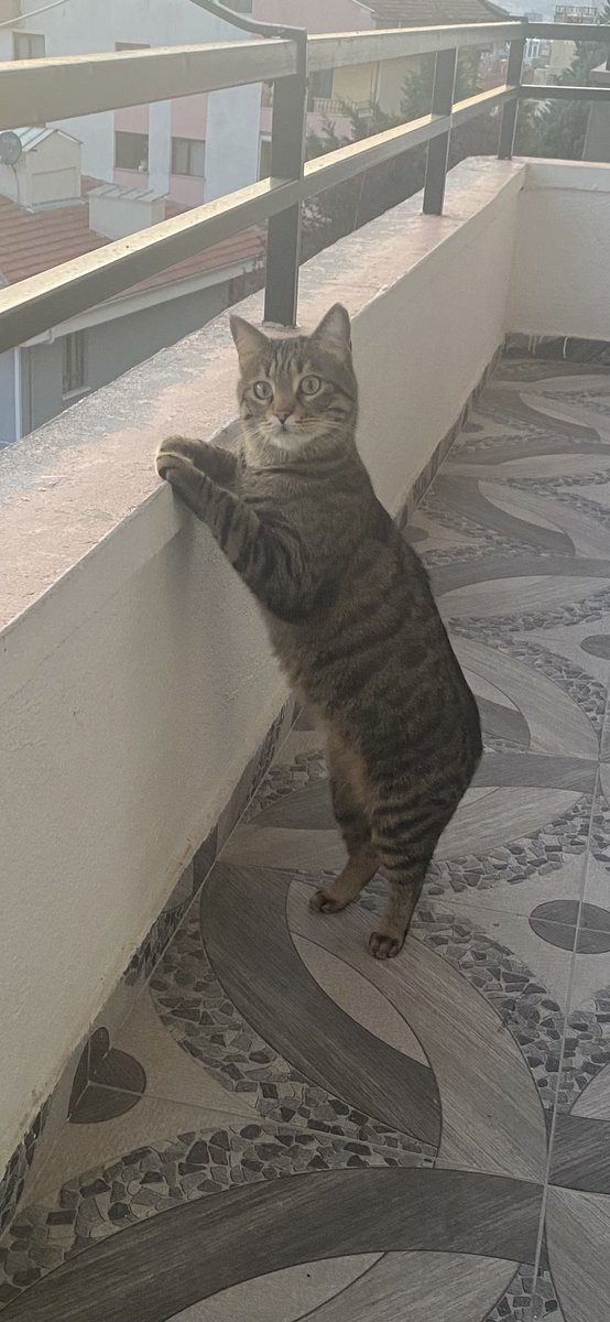 ÇAKIR BAŞKAN Hepimiz bir gün öleceğiz.Arkamızdan güzel konuşulsun. Mezarda yavşak denilmesin o yüzden yavşak olmayın🤪adam olunAllah rızka kefildir ama
imana kefil değildir.
Bu yüzden İmanınızı dert edinin,
Rızkınızı değil.AÇ KÖPEKLER ORLANDO OPERASYON EROSSUN ÇOCUKLARI DEDİ 🤪