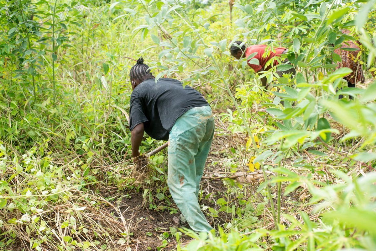 « Les mains de la femme paysanne portent les cicatrices du travail et la beauté de la vie qu’elle fait éclore. »