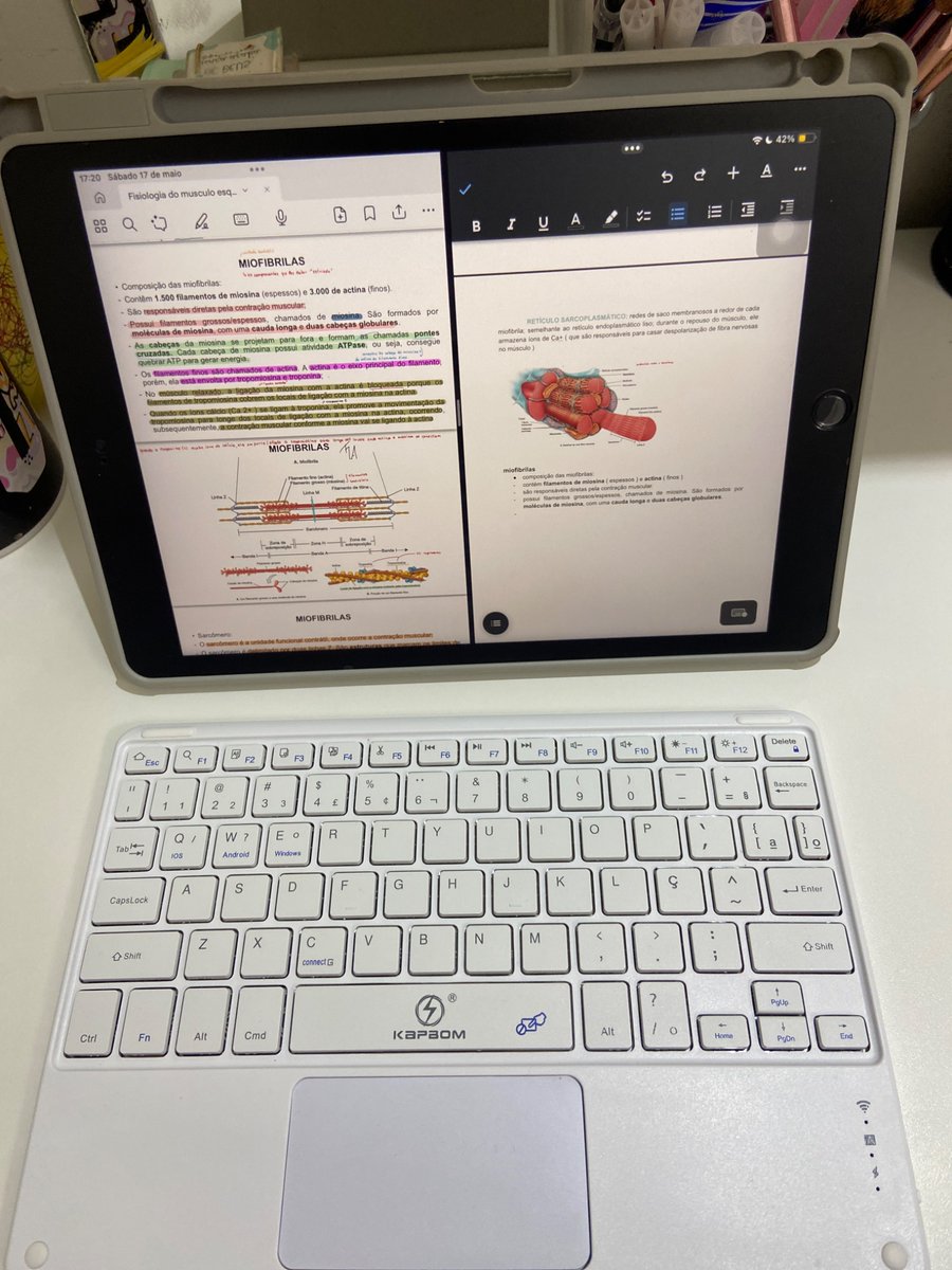 larynotes's tweet image. a estudante dando a as caras por aqui!! como estão??