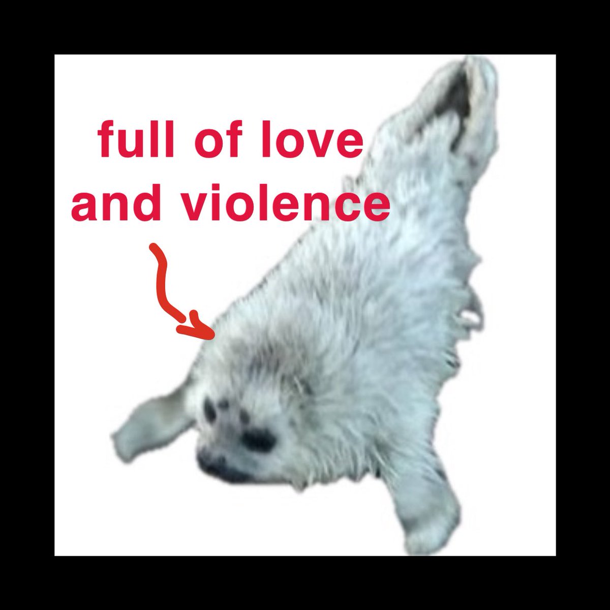 slinky vagabond 🌲🔩☕️🦉🌻 tweet media