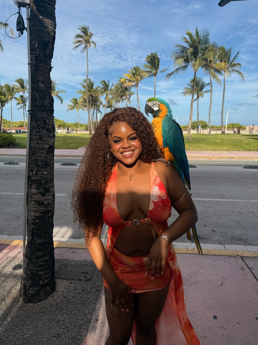 'vaeh 𓃰 tweet media