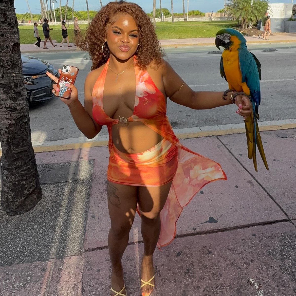 'vaeh 𓃰 tweet media