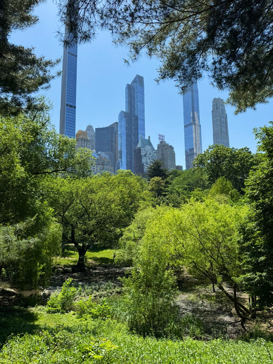 Hayden (@the_transit_guy) on Twitter photo Central Park is truly one of the greatest places in the world Central Park is truly one of the greatest places in the world