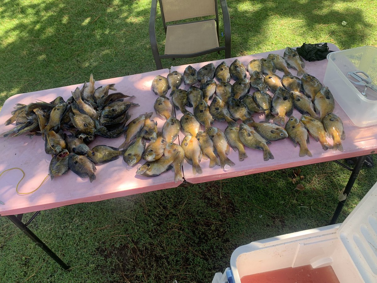 Nice little fishing trip.