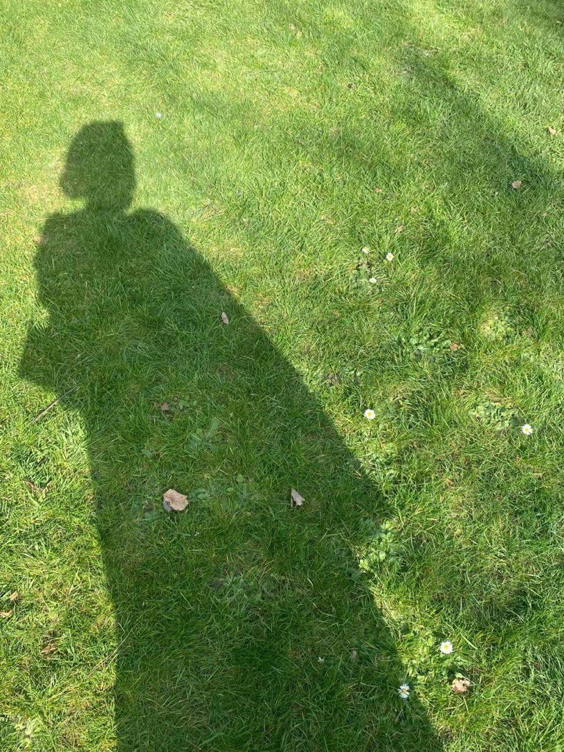 Walking alone in the park, with a gentle breeze, I haven't been so relaxed for a long time 🌞
