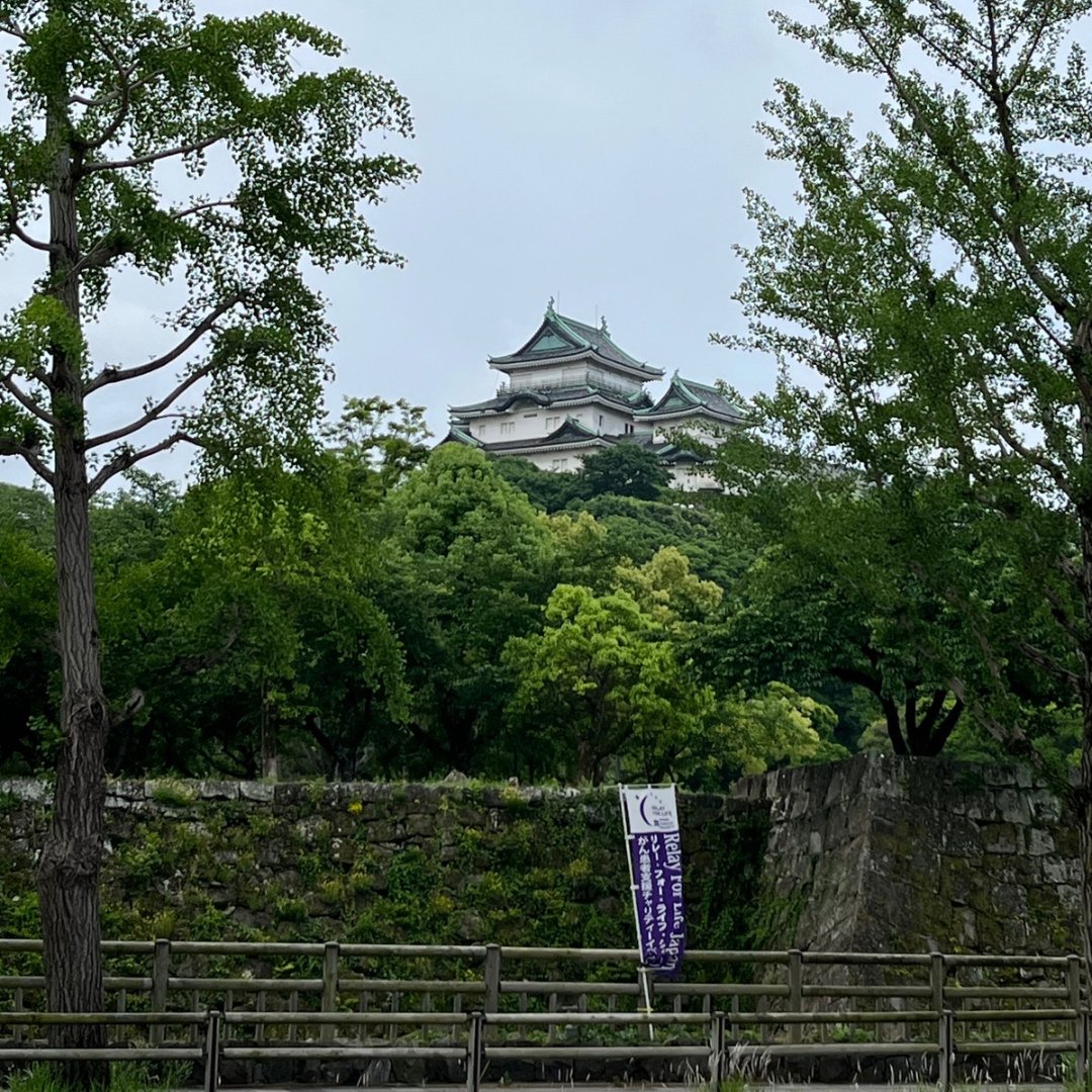 jascc25's tweet photo. おはようございます。
JASCC25、2日目が始まります。

今朝の会場の様子です。

本日もまだまだ注目のセッションが続きます！
昨日に引き続きの方も、本日からご参加の方も最後まで楽しんでご参加下さいね(^^♪

#JASCC25 #和歌山 #2日目 https://t.co/fsyl41Ybk2
