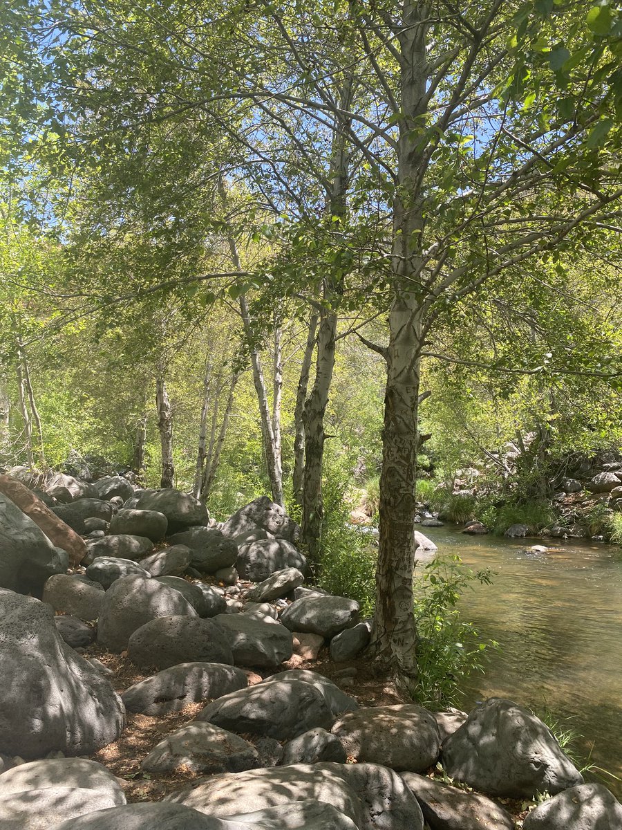 shidneyyy's tweet photo. lil sedona trip https://t.co/ZvtRvYMKK3