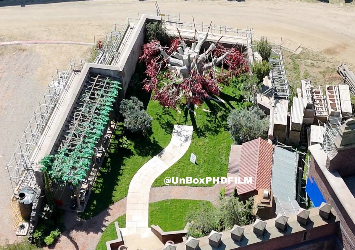 w. media tweet media