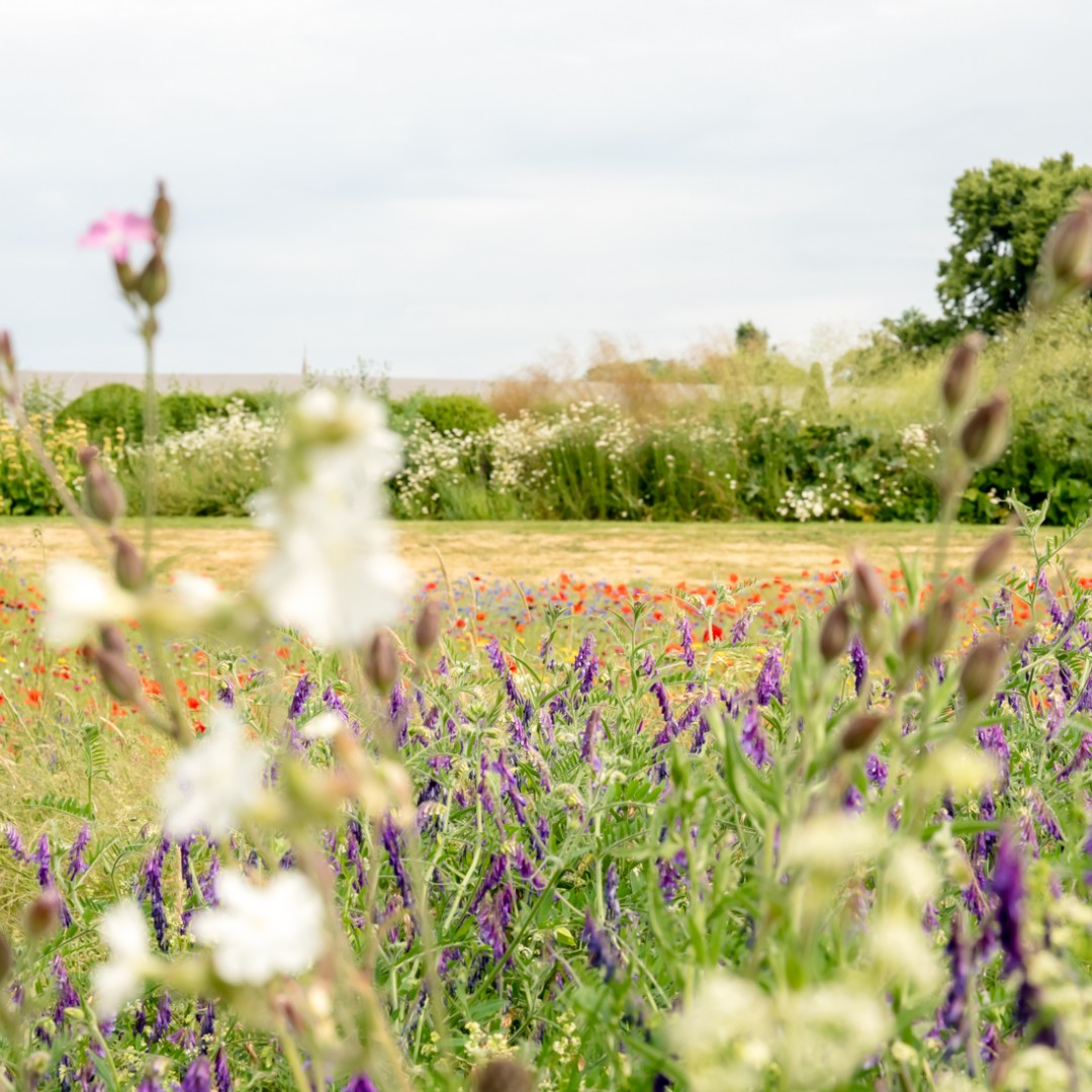 topviewnyc's tweet image. 📍🇬🇧 Stop 28 Palace Gate on our London Tour

London is in full bloom! Check out the beautiful flowers in Kensington Gardens.

#TopView #SpringinLondon #LondoninBloom #VisitLondon