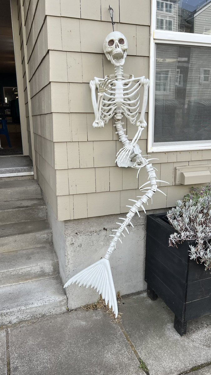 eternal_grudge's tweet photo. Finally some proof of mermaids!! https://t.co/sdyOdRvJkq