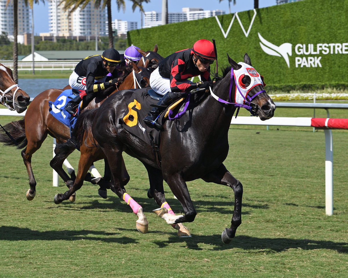 Gulfstream Park (@gulfstreampark) on Twitter photo Ashima bests her competition in race 7, <a href="/JaramilloJockey/">Emisael Jaramillo</a> rode for trainer Sal Santoro and owner Wallace Moore Jr. #GulfstreamPark #RoyalPalmMeet Ashima bests her competition in race 7, <a href="/JaramilloJockey/">Emisael Jaramillo</a> rode for trainer Sal Santoro and owner Wallace Moore Jr. #GulfstreamPark #RoyalPalmMeet