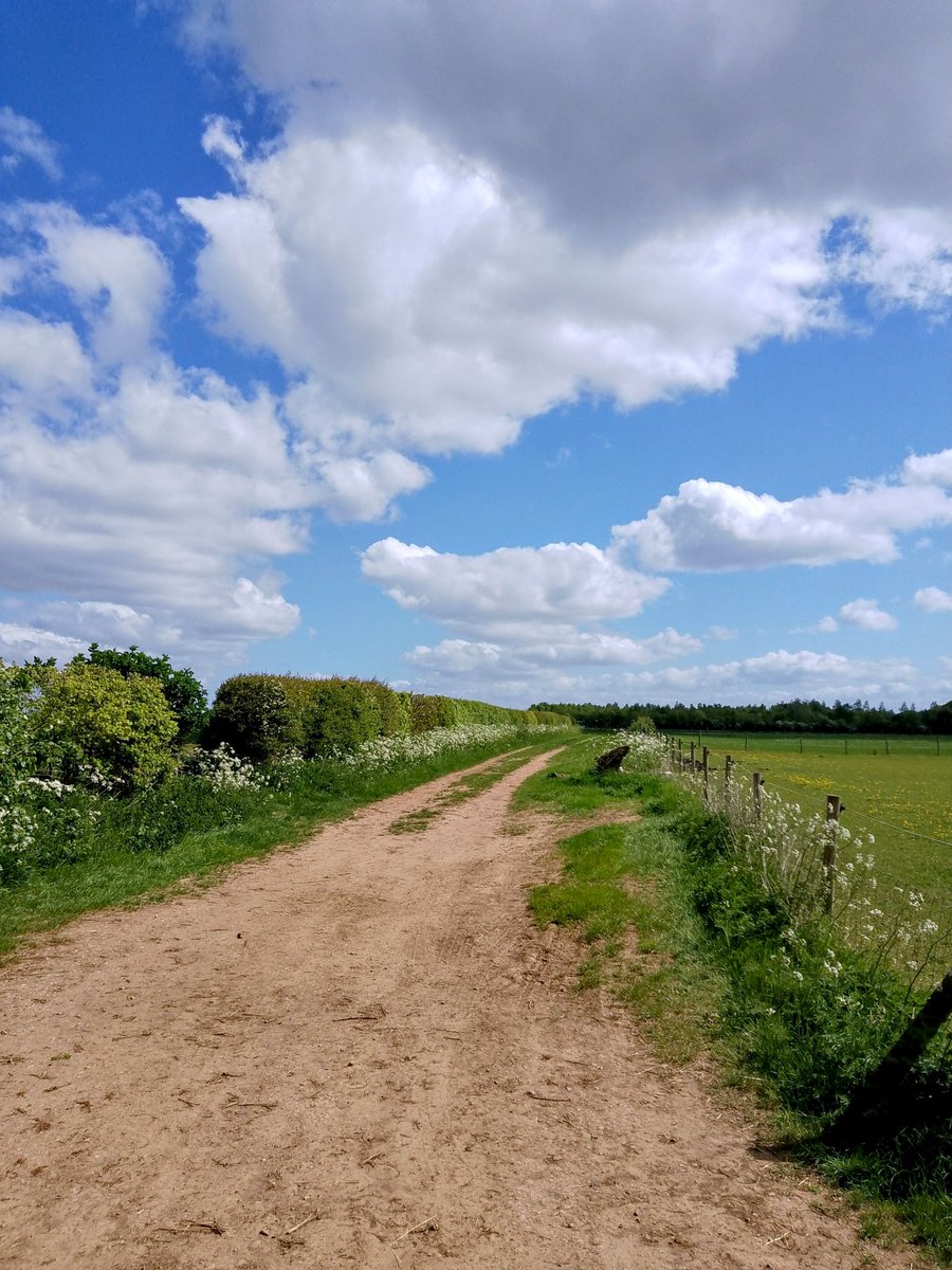 phil0073's tweet image. Big skies on #Badsaddle2Brixworth . #PhilOnaBike #WeekendWalks #clouds #BywayFriday #FootpathFriday