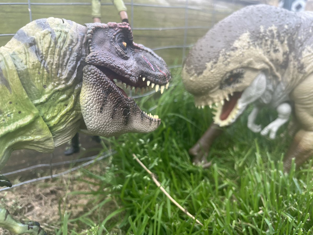 JurassicAust's tweet image. Decided to do a little more #Jurassic photography today!  #JurassicPark #JurassicWorldRebirth