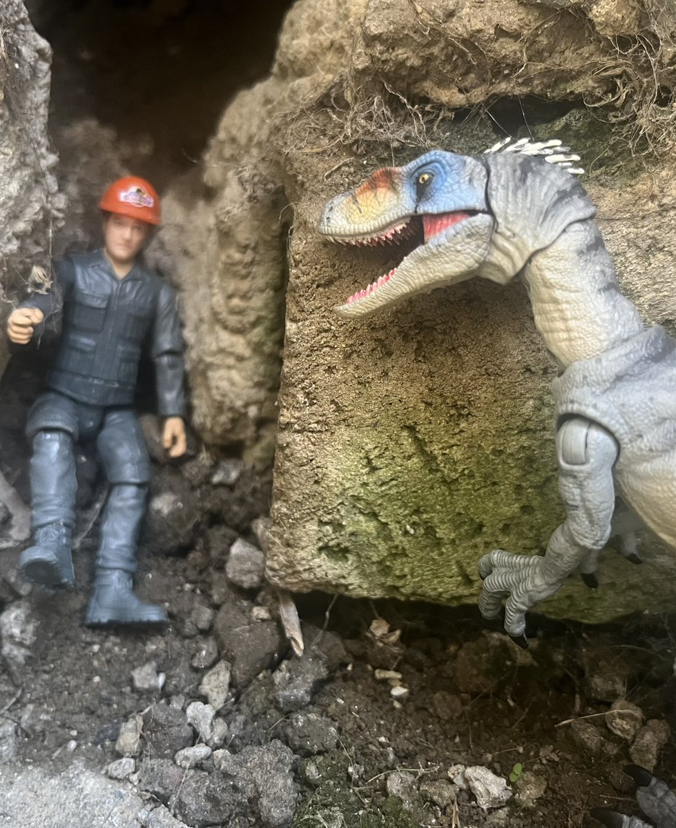 JurassicAust's tweet image. Decided to do a little more #Jurassic photography today!  #JurassicPark #JurassicWorldRebirth