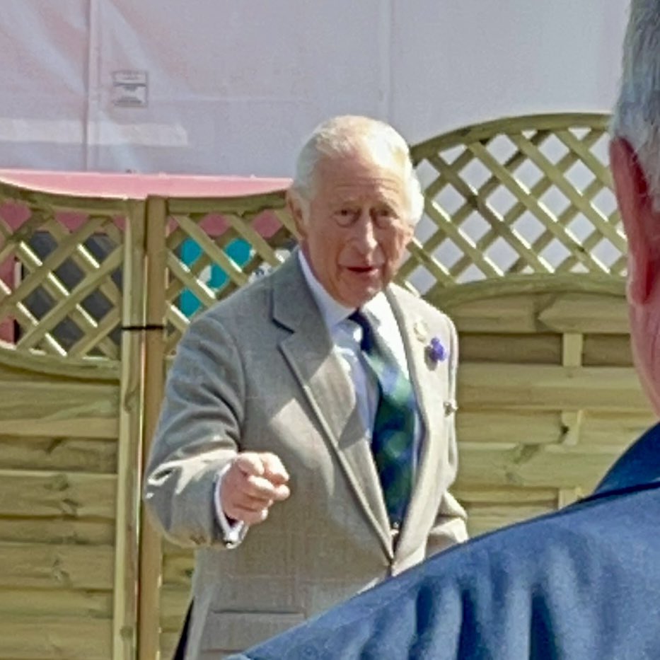 equine_advisor's tweet photo. This weekend I have the privilege of helping the British Equestrian Trade Association (BETA) on their stand at the Royal Windsor Horse Show. 
The best bit has been getting to watch my client Disco in his Cleveland Bay class yesterday coming second to the King’s horse. https://t.co/vY1Gi5jIih
