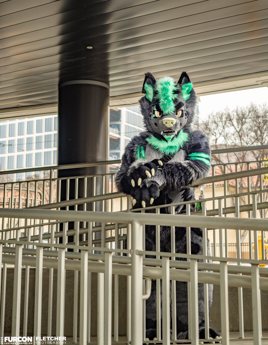 Judging you for wasting your Saturday

🐺: <a href="/RykerHusky/">RykerHusky/Kureno</a>