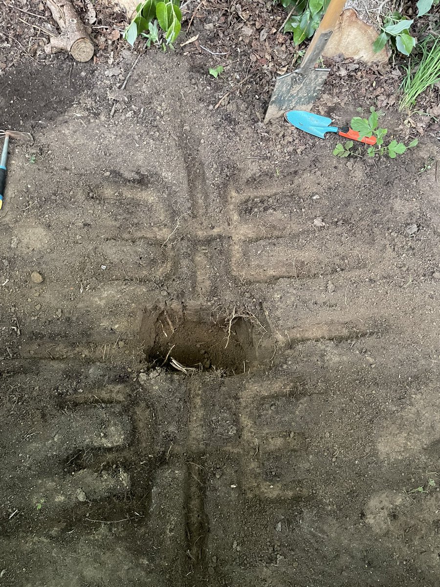 cryptoms tweet media