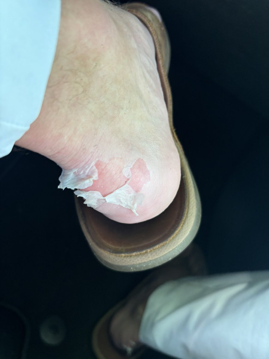 Scottie “the penetrator” Bags jr tweet media