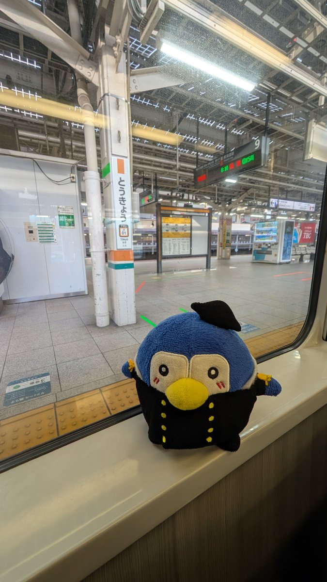 さて出発😄

#伊豆
#下田
#黒船祭り
#旅するぺるりん