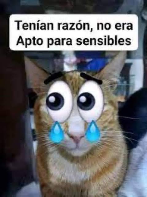 Gabriel VT tweet media