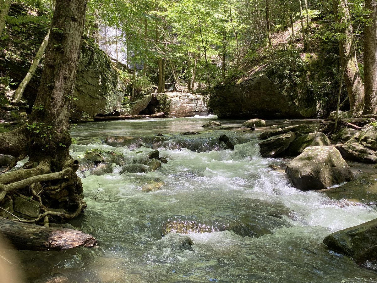 Jonath4nCrypto's tweet photo. Sometimes you miss the beauty in your own backyard looking at the neighbors car. What’s your go to pick for this summer? #outdoors #NaturePhotography #waterfall #tennessee #XRP #ghlibification #rizenet #atom #ada #DOGE #mantra #btc #ETH #sol https://t.co/JC2vzOuKg8