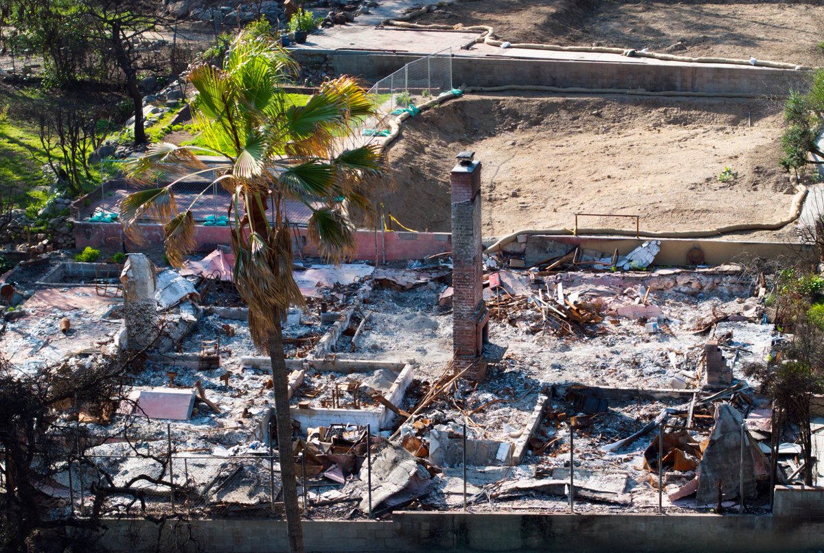 The Church of Jesus Christ of Latter-day Saints (@ch_jesuschrist) on Twitter photo Drive through some of the areas affected by the 2025 Southern California wildfires and you’ll see a small sign of hope: Flowers blooming and grass growing on desolate lots where only chimneys and rubble remain.
Dozens of organizations have gathered at a church building in Drive through some of the areas affected by the 2025 Southern California wildfires and you’ll see a small sign of hope: Flowers blooming and grass growing on desolate lots where only chimneys and rubble remain.
Dozens of organizations have gathered at a church building in