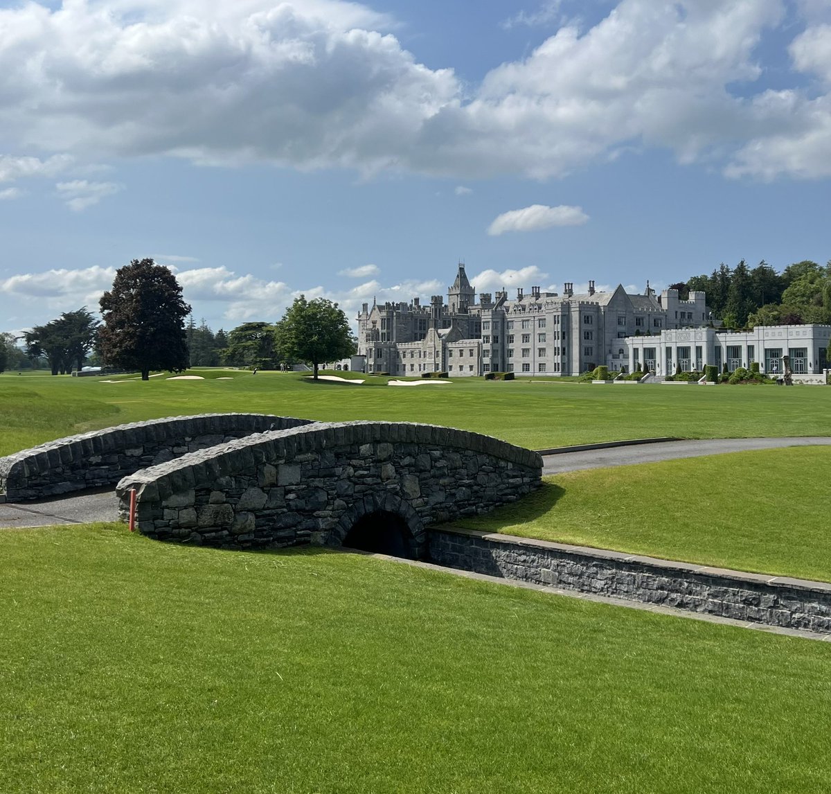 Ryan Dorrell tweet media