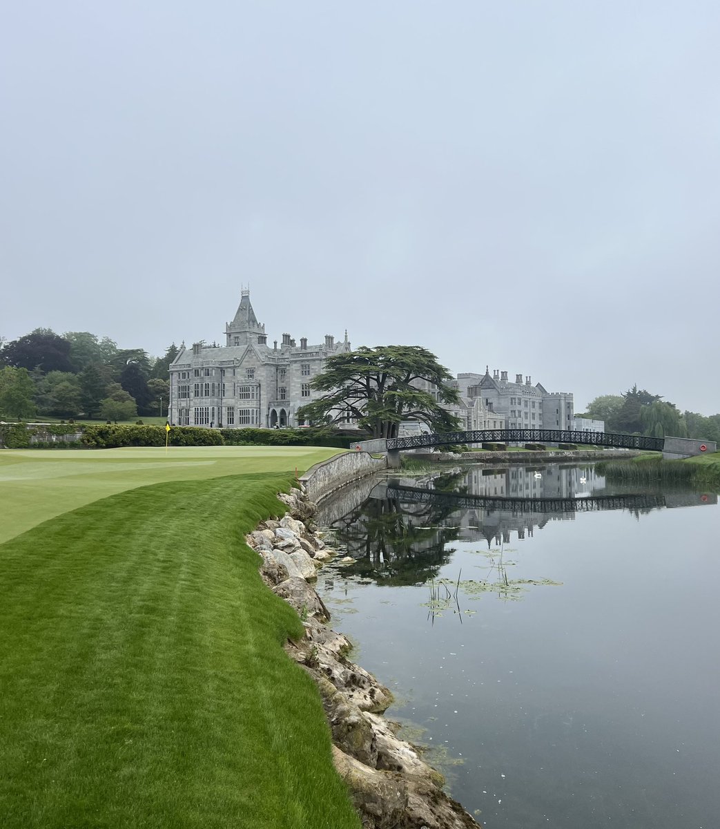 Ryan Dorrell tweet media