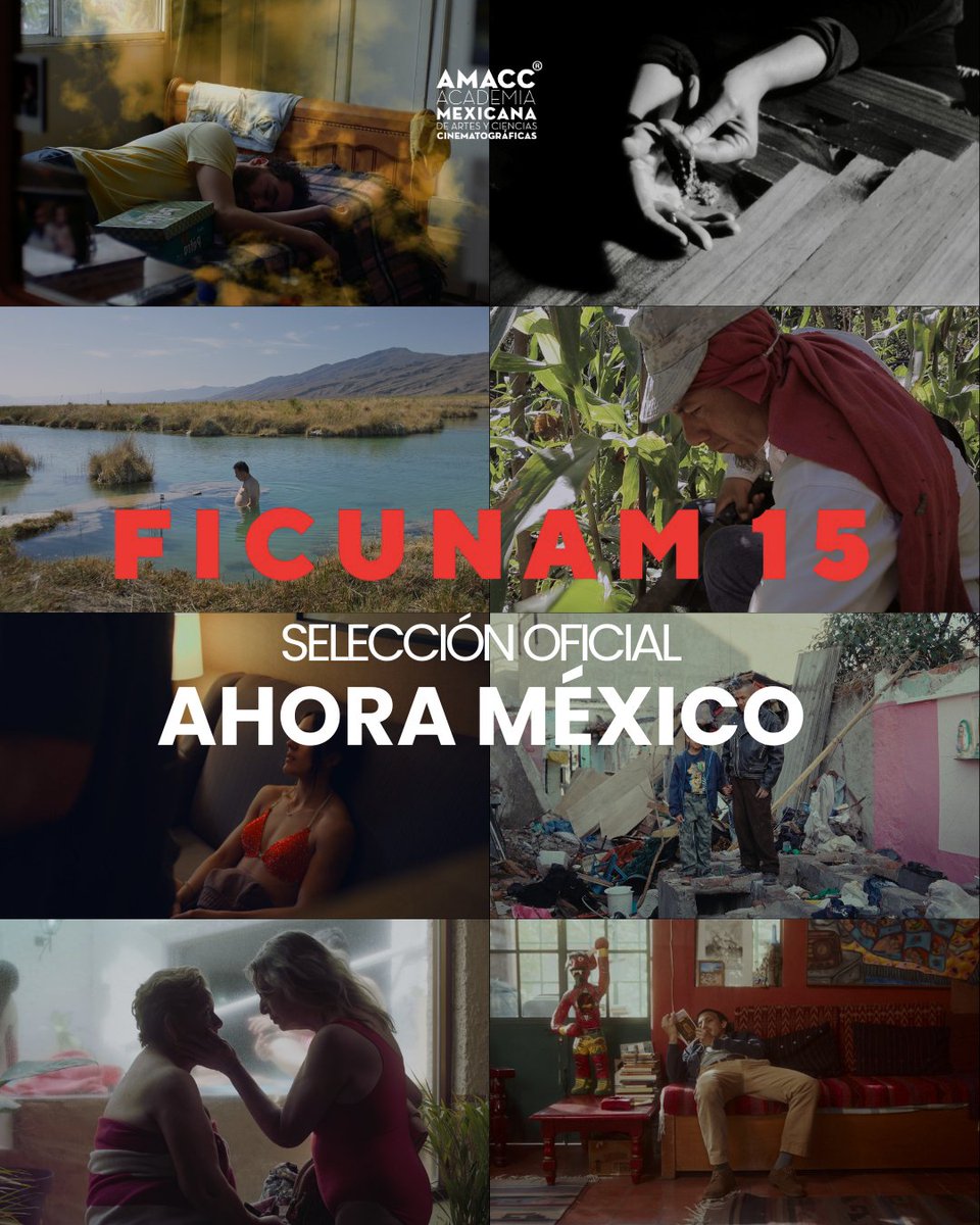 Del 29 de mayo al 5 de junio de 2025, disfruta lo mejor del cine mexicano contemporáneo en Ahora México, la sección competitiva del Festival Internacional de Cine UNAM.
📍 Disponible en sedes como CCU, MUAC, Cineteca Nacional , Cine Tonalá, etc.