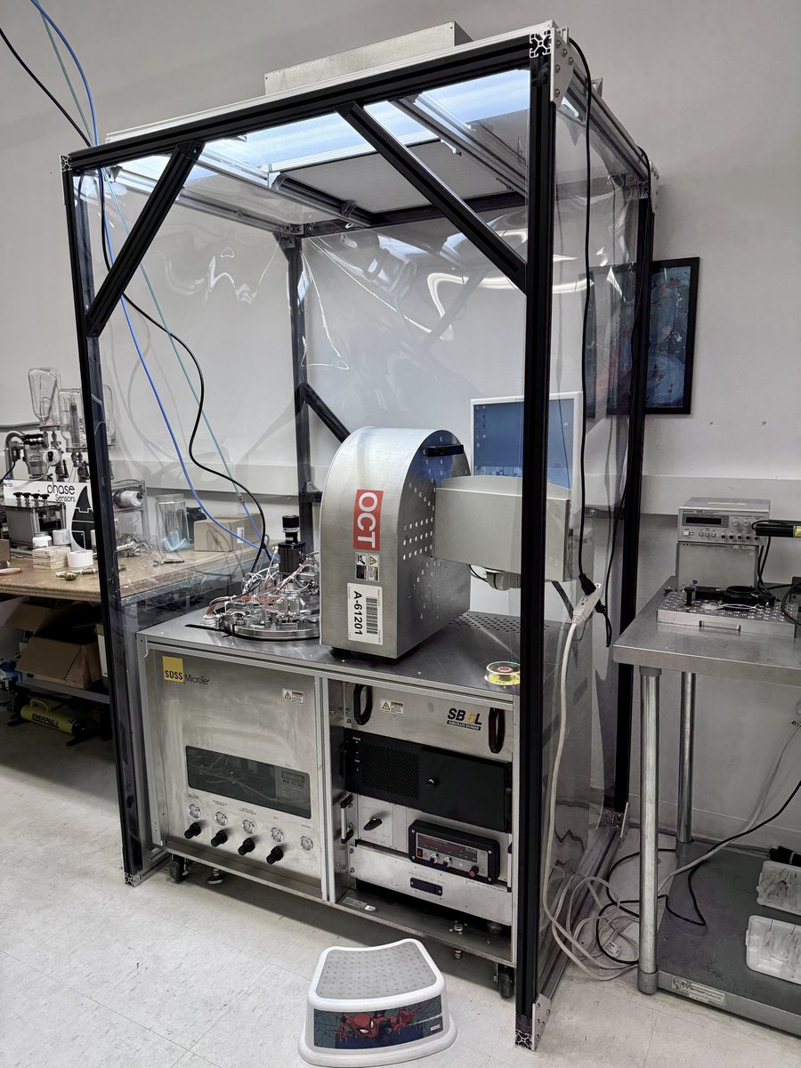 Chris Holt tweet media