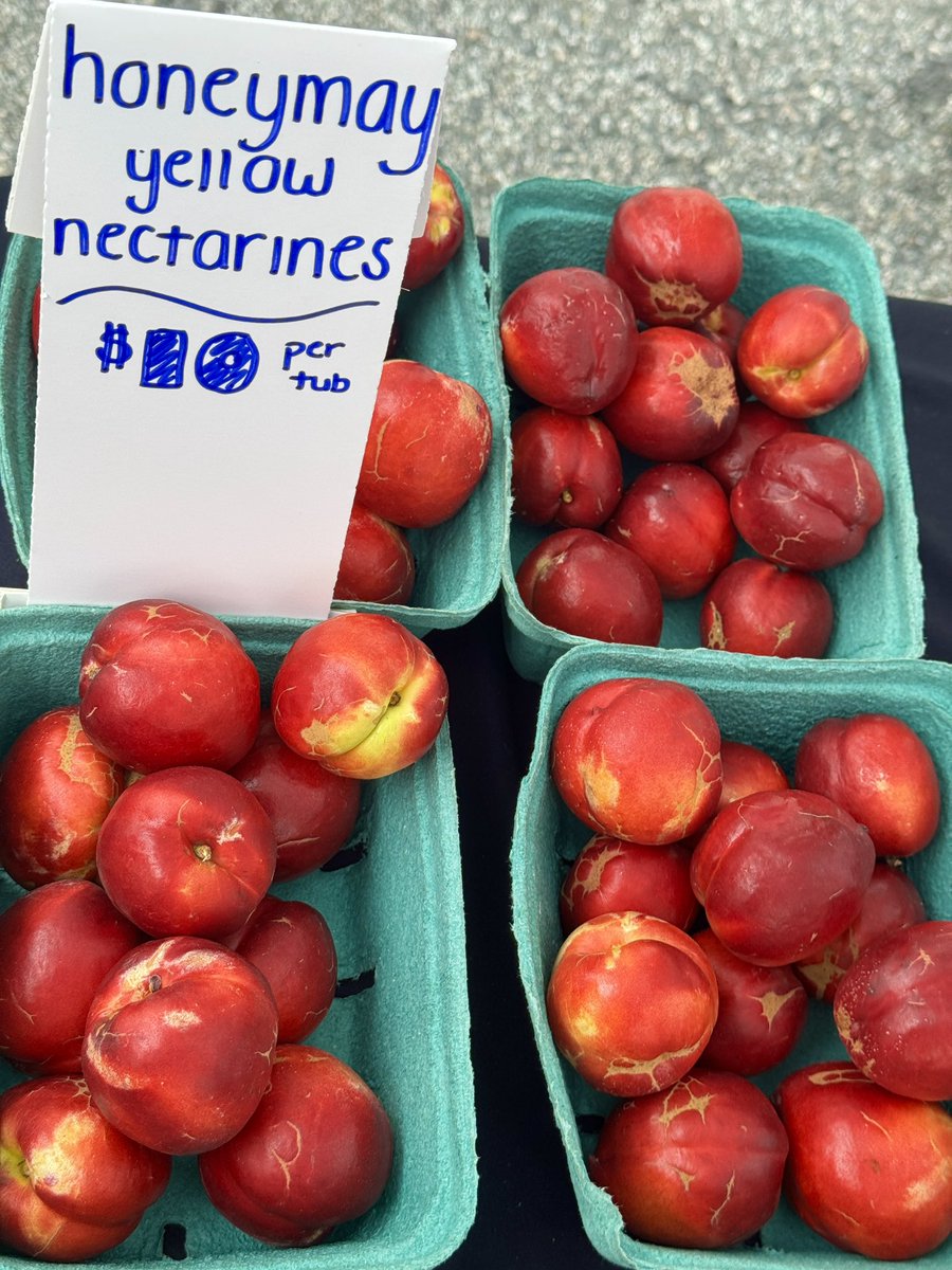 Today’s Farmers Market