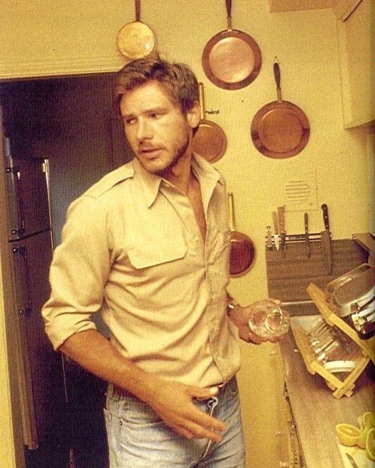 this pic of harrison ford is forever engraved in my brain, and i hope it never leaves.