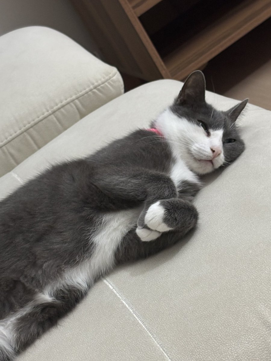 Borçları nasıl ödeyeceğimizi düşünürken benim eşgal 😂