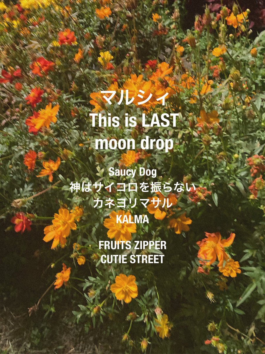 🏷𓈒𓏸︎︎︎︎

"君の声も仕草も 変わらず愛せるだろう"

お友だちください‼︎♡

#邦ロック好きな人と繋がりたい
#日曜日だし邦ロック好きと繋がりたい