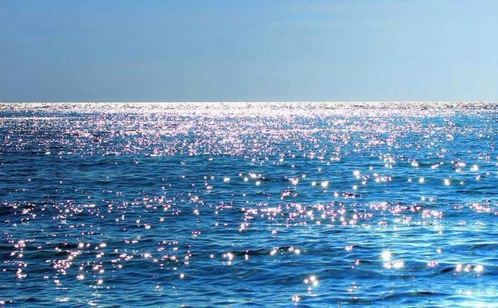 bluedreamvibes's tweet photo. https://t.co/lOpF50veLV