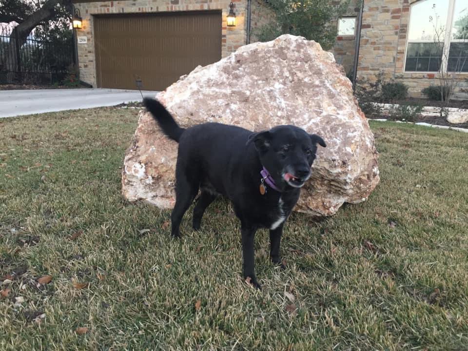<a href="/DudespostingWs/">Dudes Posting Their W’s</a> This is my little boulder, but the builders uncovered one on my neighbors lot the size of a Volkswagen Beetle. They sell for big bucks as yard decor. I paid a guy $20 &amp; a 6 pk of Shinerbock to move it to my front yard!