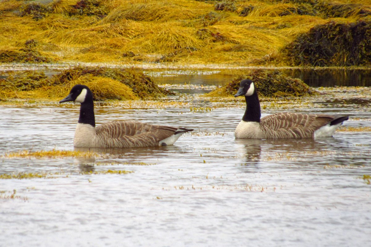 Saturday drive along the Ocean.