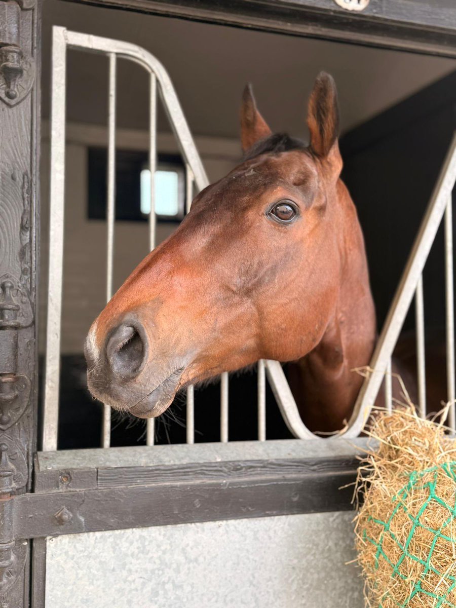 Jim Goldie Racing (@jimgoldieracing) on Twitter photo After an excellent 6th from a bad draw <a href="/yorkracecourse/">York Racecourse</a> Yaaser made his way to <a href="/NewmarketRace/">Newmarket Racecourse</a> where he runs in tomorrow’s <a href="/SkyBet/">Sky Bet</a> Sunday Series Meeting, <a href="/PMulrennan/">Paul Mulrennan</a> rides! After an excellent 6th from a bad draw <a href="/yorkracecourse/">York Racecourse</a> Yaaser made his way to <a href="/NewmarketRace/">Newmarket Racecourse</a> where he runs in tomorrow’s <a href="/SkyBet/">Sky Bet</a> Sunday Series Meeting, <a href="/PMulrennan/">Paul Mulrennan</a> rides!