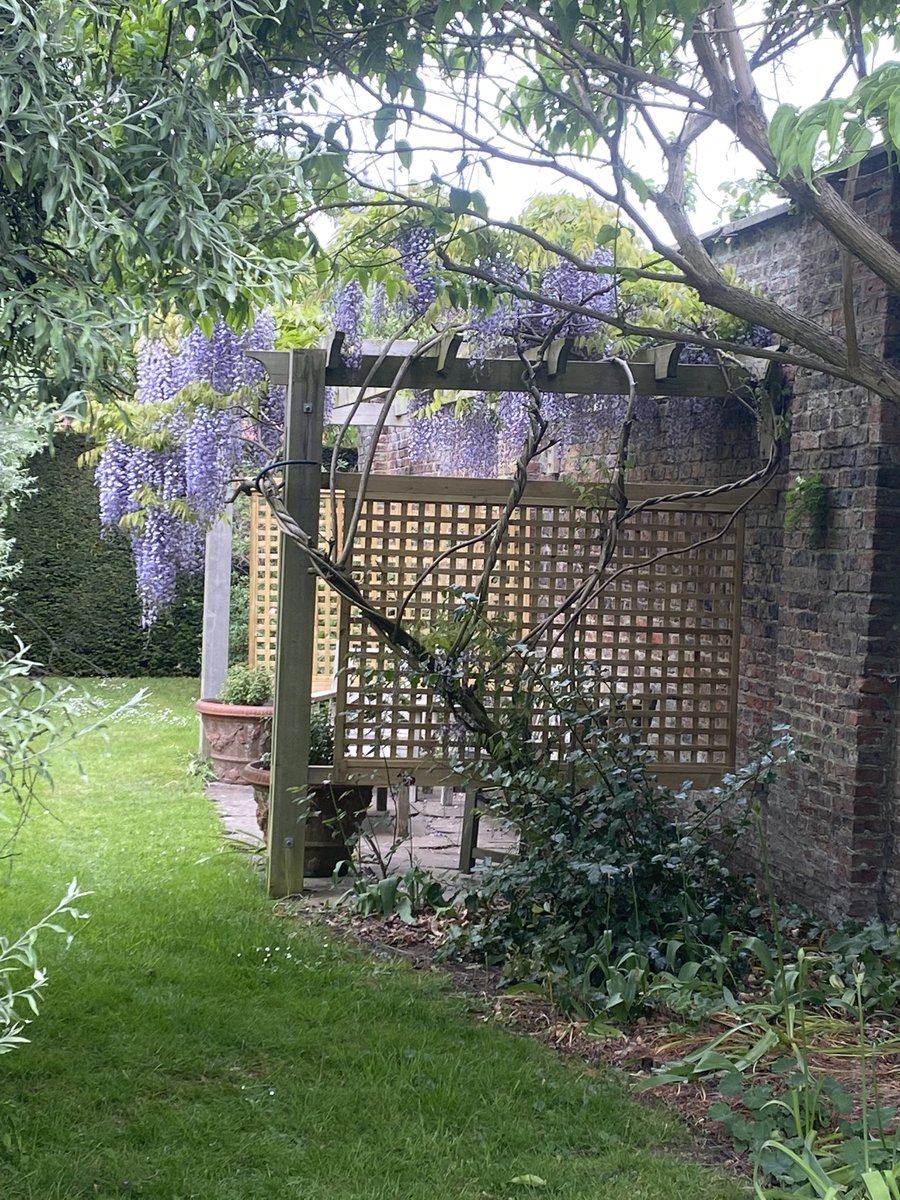 Michael Madden (@tumbattle) on Twitter photo Lovely Friday at the Dante meeting <a href="/yorkracecourse/">York Racecourse</a> and of course an overnight stay at the fabulous <a href="/MiddlethorpeHal/">Middlethorpe Hall NT</a> . Is it haunted? Quite possibly. Certainly a lot of secret spaces to explore in the garden. Lovely Friday at the Dante meeting <a href="/yorkracecourse/">York Racecourse</a> and of course an overnight stay at the fabulous <a href="/MiddlethorpeHal/">Middlethorpe Hall NT</a> . Is it haunted? Quite possibly. Certainly a lot of secret spaces to explore in the garden.
