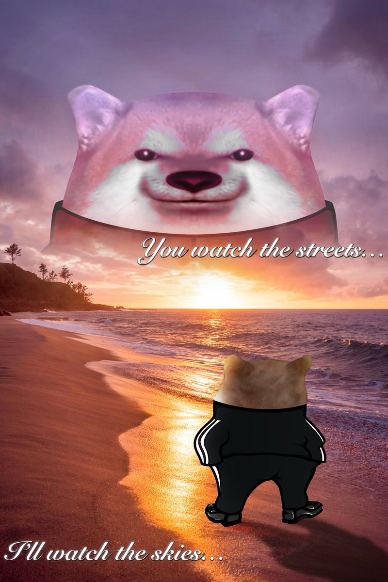 Kama (@kama_kamilia) on Twitter photo 