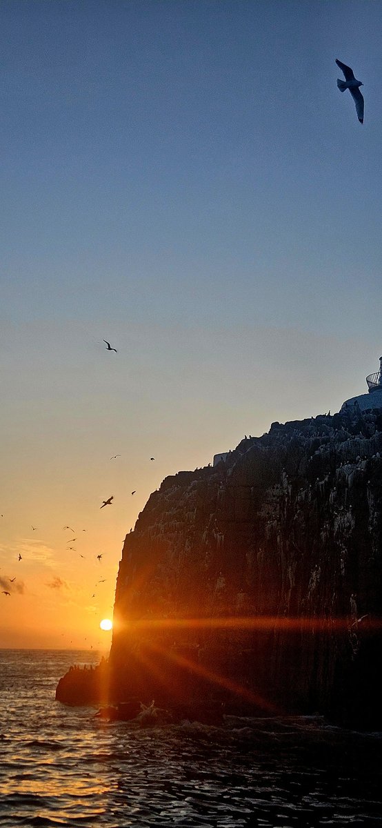 What a cracking start to our 1st Sunset Cruise of the season. If you fancy joining us click on the link to book. farneislandstours.co.uk